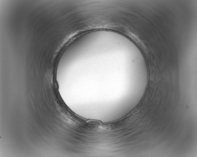 X0000051910060200507222119