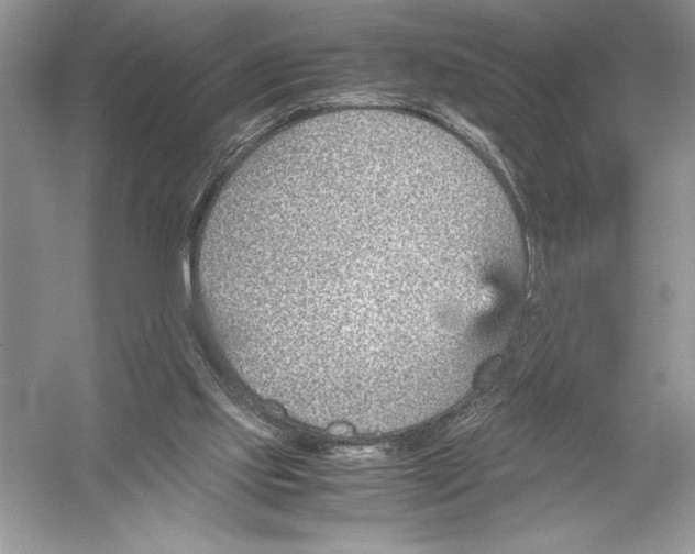 X0000051910061200507222119