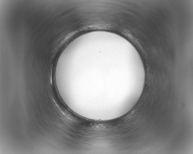 X0000051910062200507222119