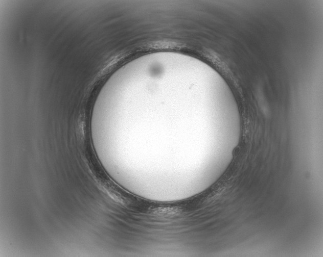 X0000051910063200507222119