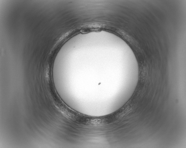 X0000051910064200507222119