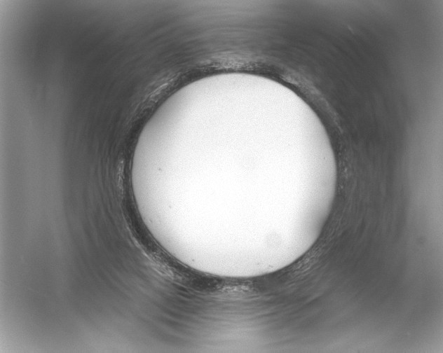 X0000051910066200507222119