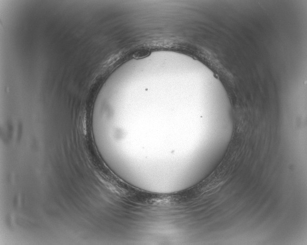 X0000051910068200507222119