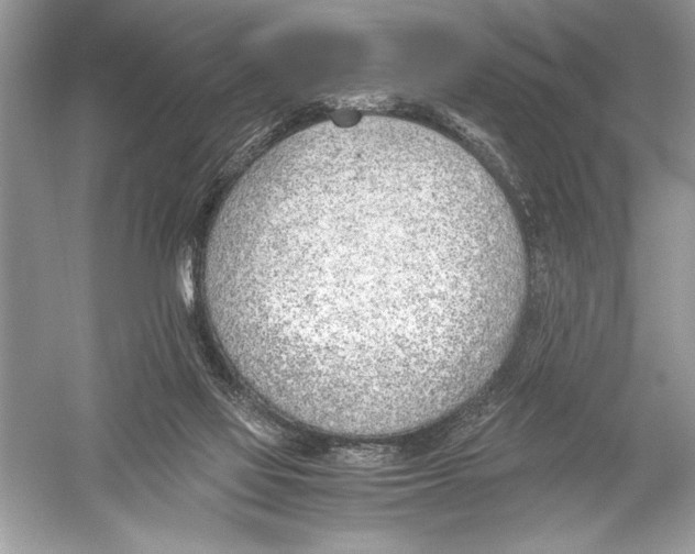 X0000051910069200507222119