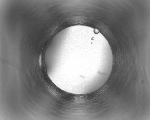 X0000051910070200507222119