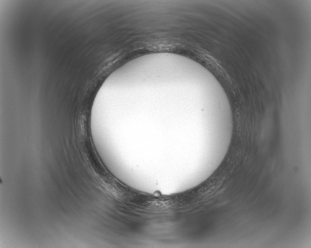 X0000051910071200507222119