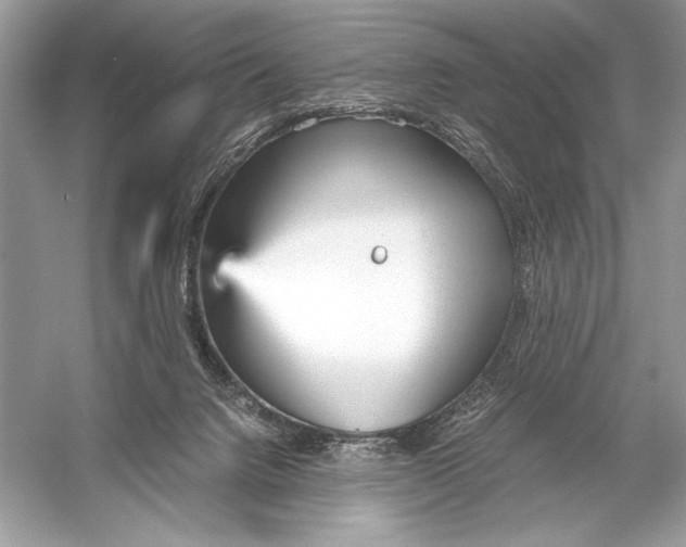 X0000051910072200507222119