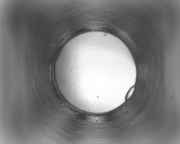 X0000051910073200507222119