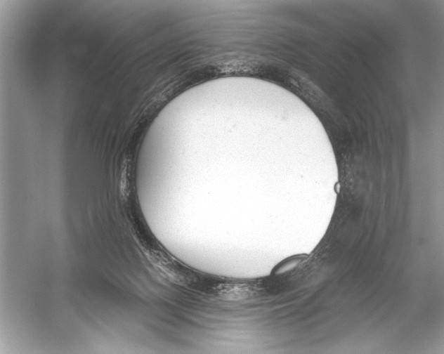 X0000051910074200507222119