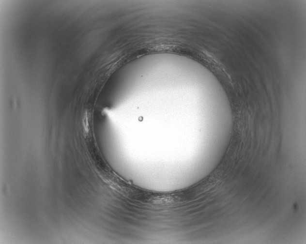 X0000051910075200507222119