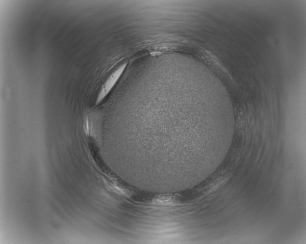 X0000051910076200507222119