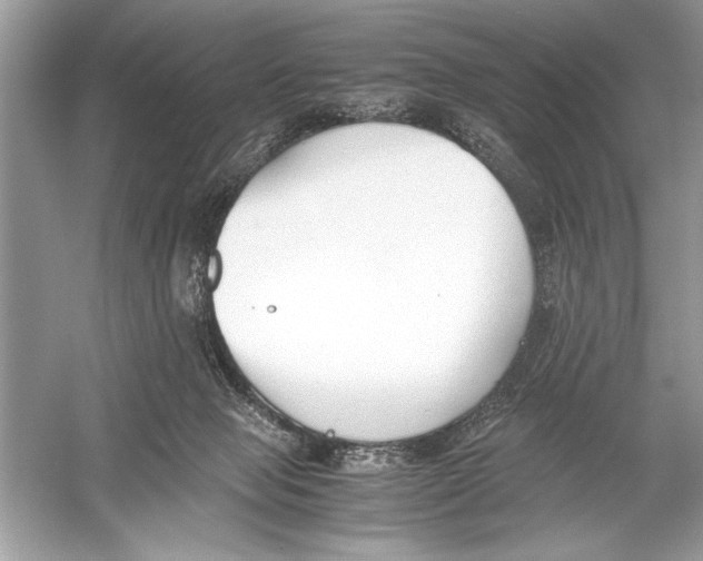 X0000051910077200507222119