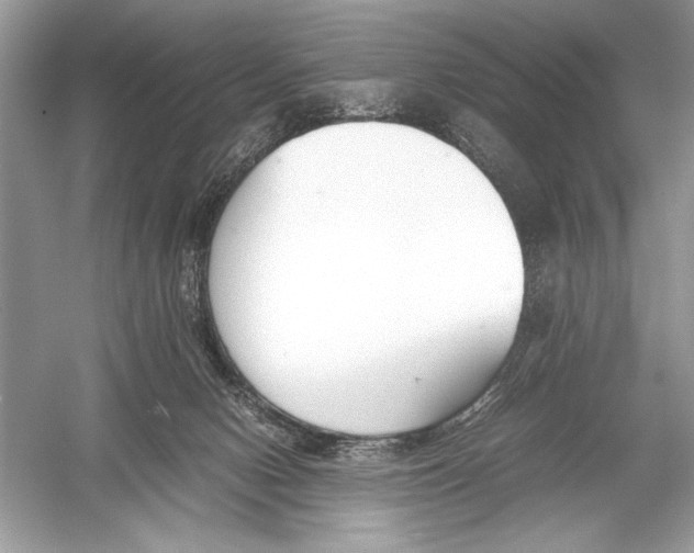 X0000051910078200507222119