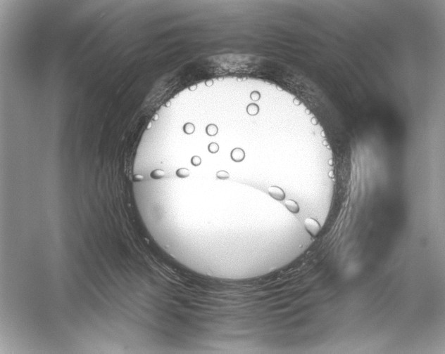 X0000051910079200507222119