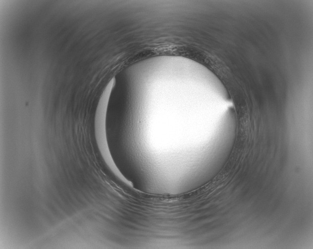 X0000051910081200507222119