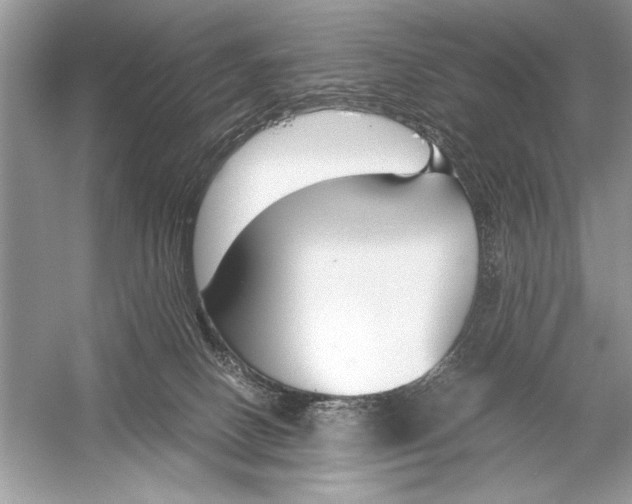 X0000051910082200507222119