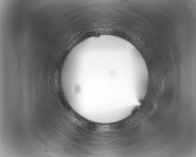 X0000051910083200507222119