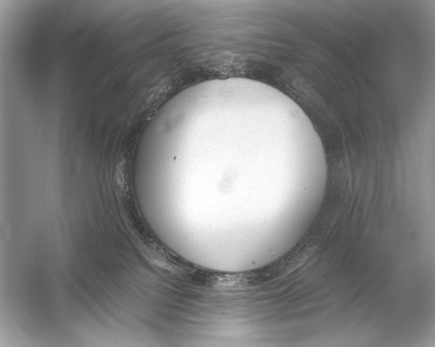 X0000051910088200507222119