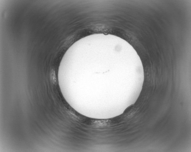 X0000051910089200507222119