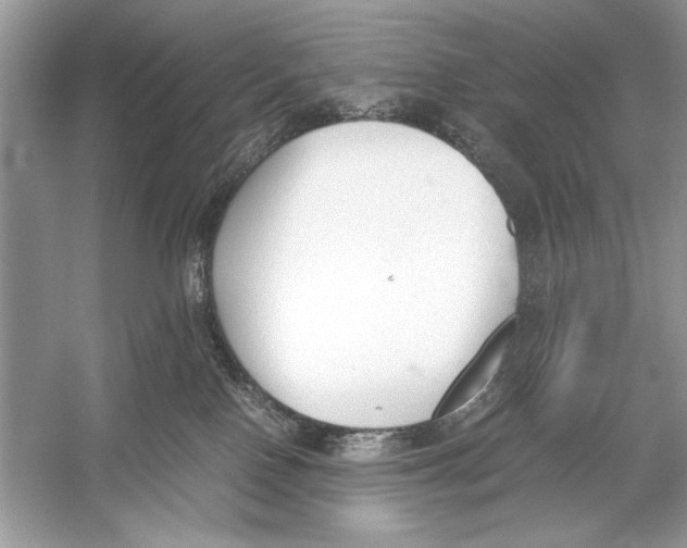 X0000051910090200507222119