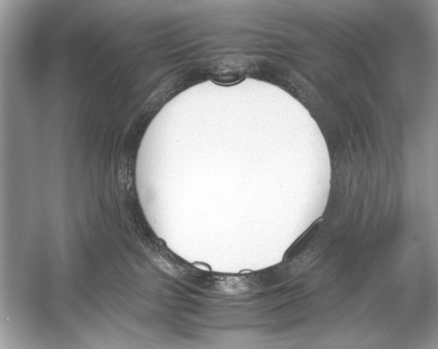 X0000051910091200507222119