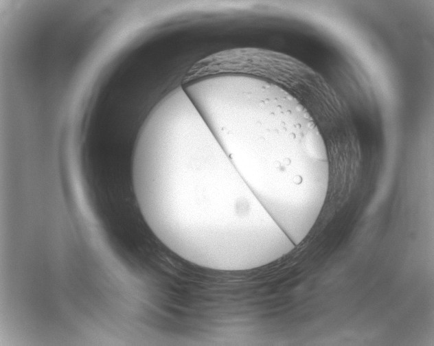 X0000051910093200507222119