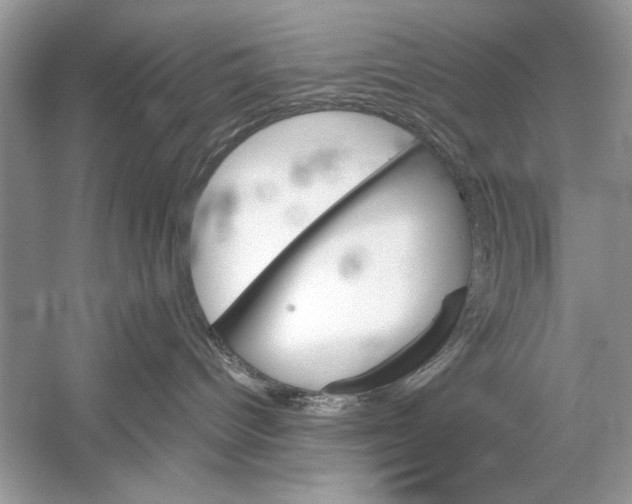 X0000051910096200507222119