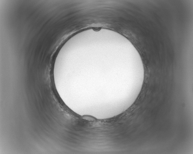 X0000051910098200507222119