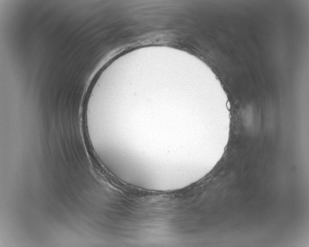 X0000051910100200507222119