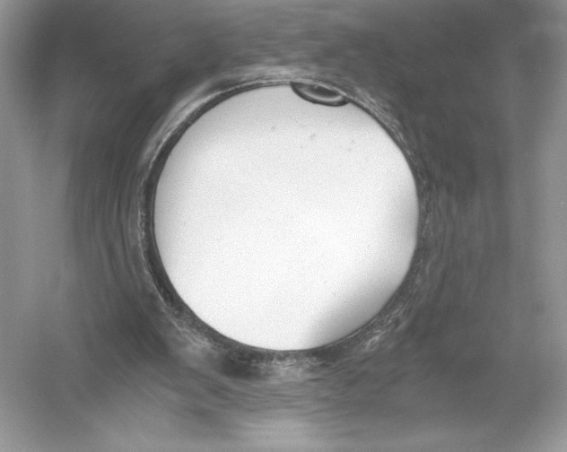 X0000051910103200507222119