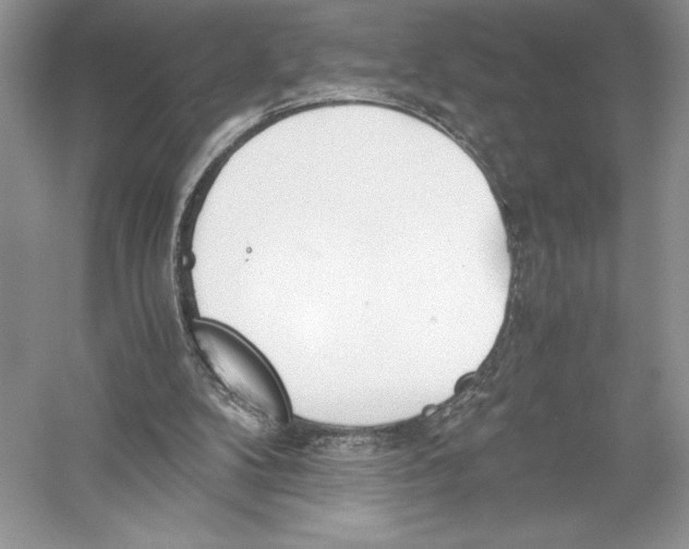 X0000051910104200507222119