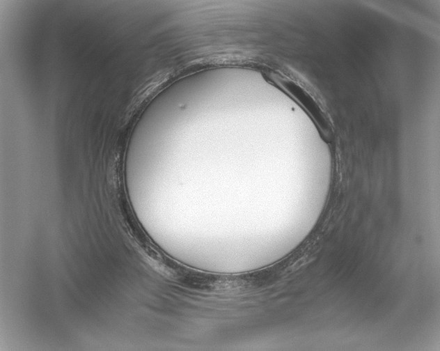 X0000051910105200507222119