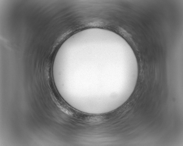 X0000051910106200507222118