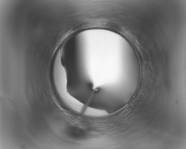 X0000051910107200507222118