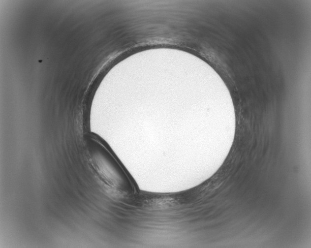 X0000051910108200507222118