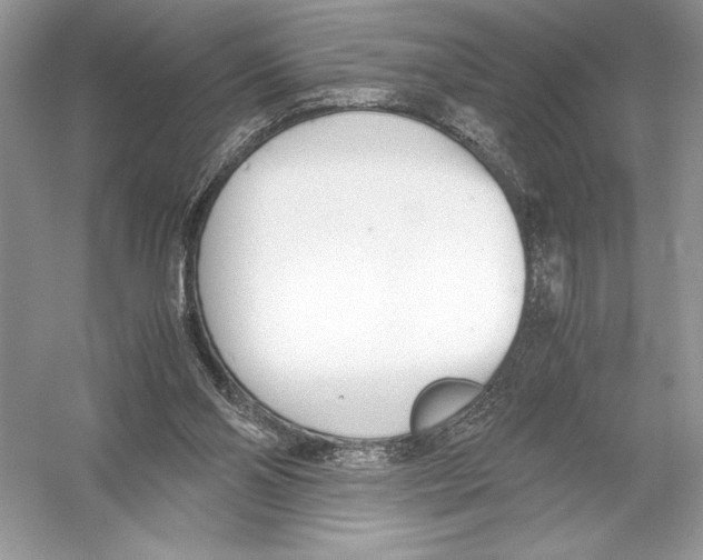 X0000051910110200507222118