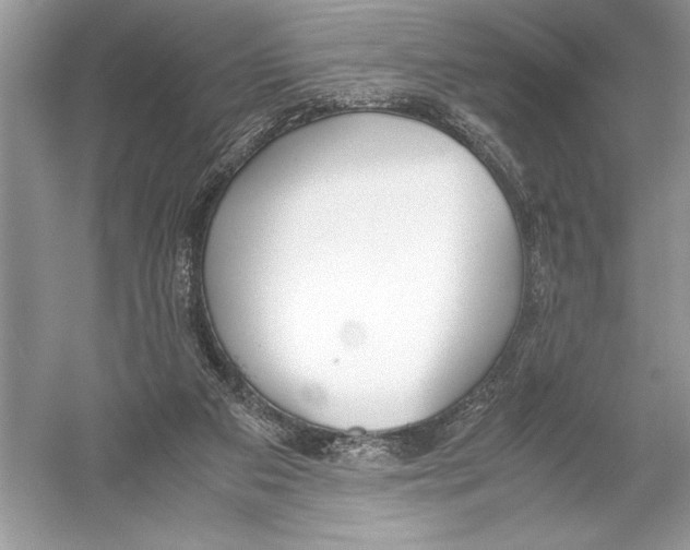 X0000051910113200507222118