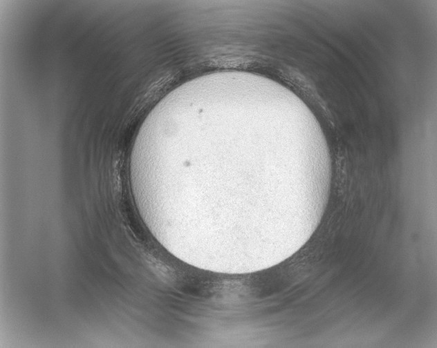 X0000051910114200507222118