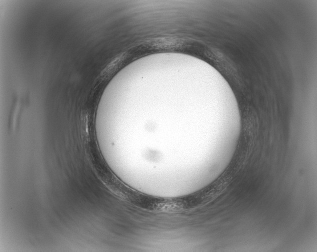 X0000051910115200507222118