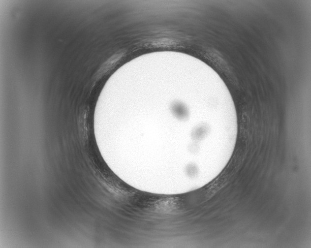 X0000051910116200507222118