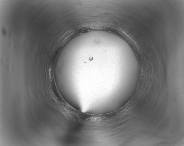 X0000051910117200507222118