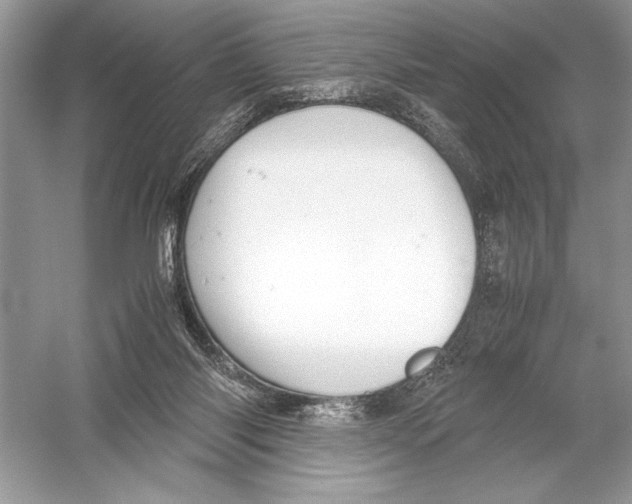 X0000051910118200507222118