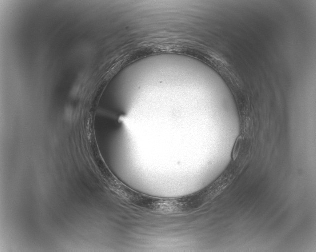 X0000051910121200507222118