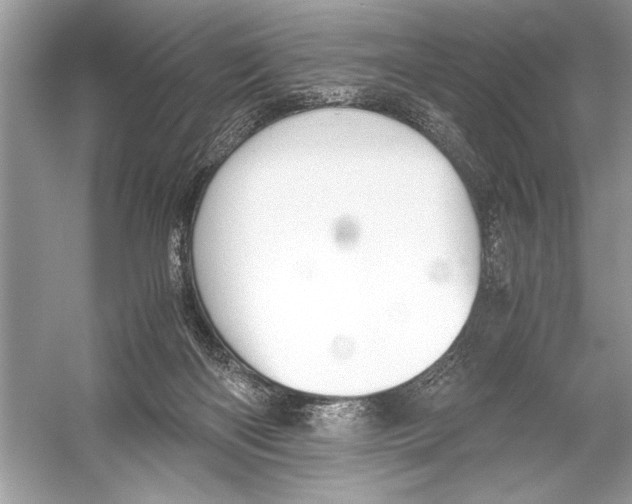 X0000051910122200507222118