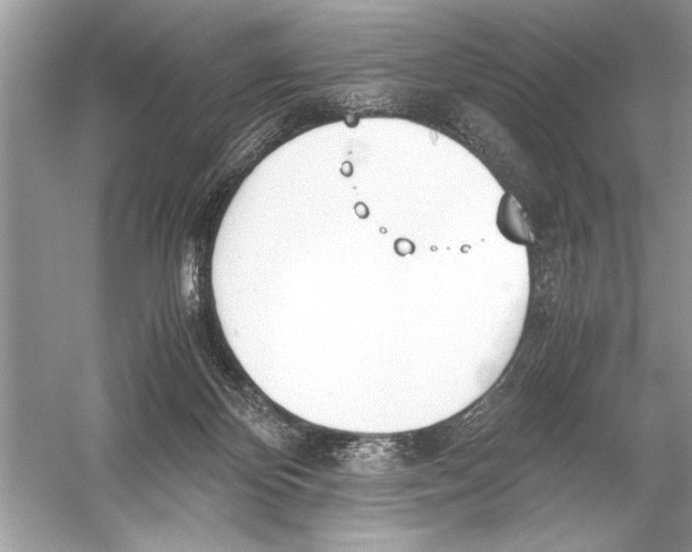 X0000051910124200507222118