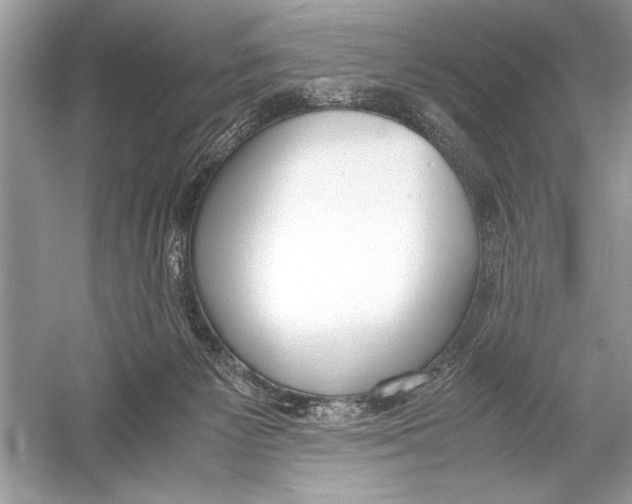 X0000051910125200507222118