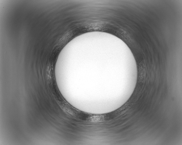 X0000051910126200507222118