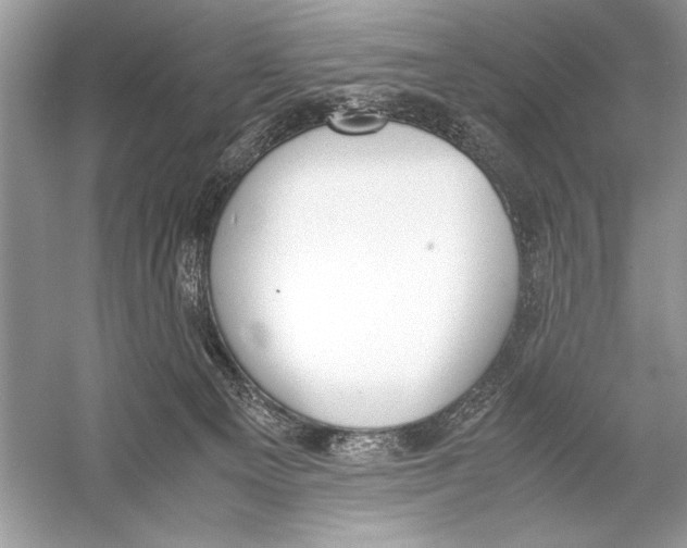 X0000051910129200507222118