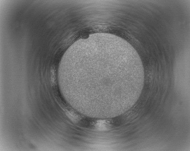 X0000051910130200507222118