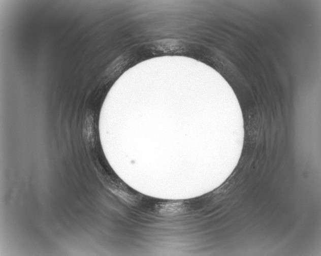 X0000051910132200507222118